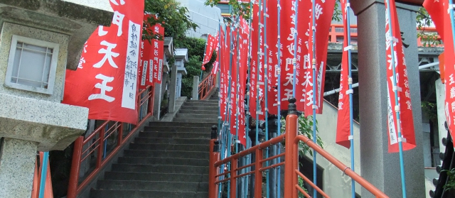 kanoomiki20097.jpg