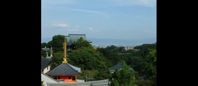 kanoomiki20107.jpg