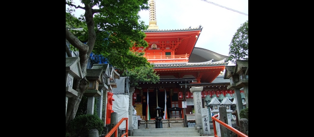 kanoomiki20116.jpg