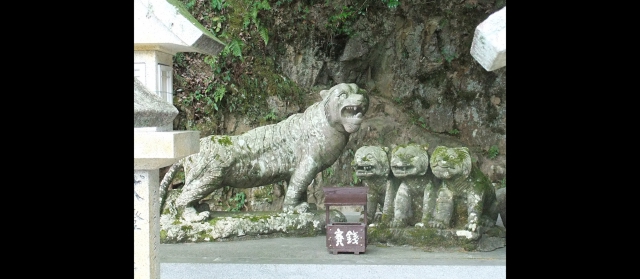 kanoomiki20124.jpg