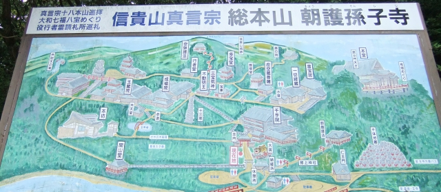 kanoomiki20128.jpg