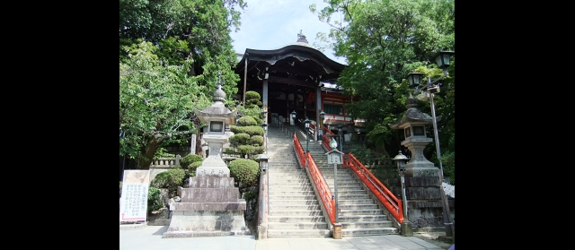 kanoomiki20138.jpg