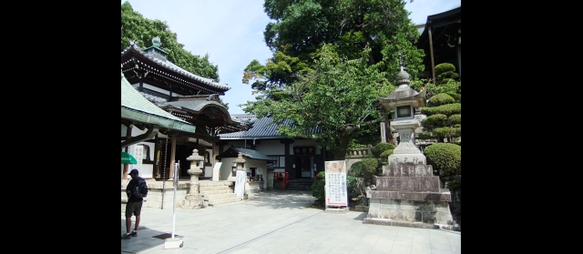 kanoomiki20139.jpg