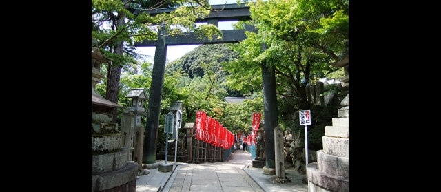 kanoomiki20141.jpg