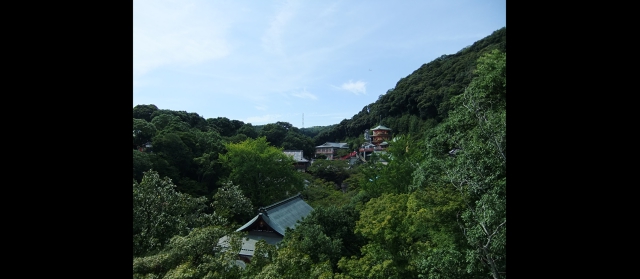 kanoomiki20144.jpg