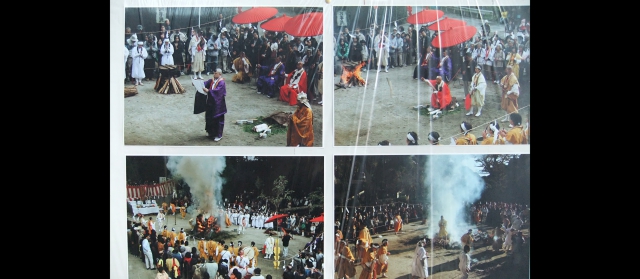 kanoomiki20157.jpg